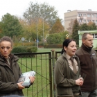 Święto Drzewa